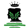 img_organizer